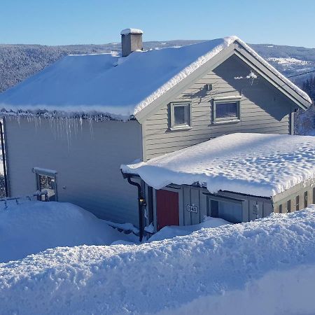 Lille Randklev Gaestehus Ringebu Exterior foto